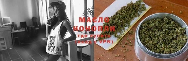 дмт Алексин