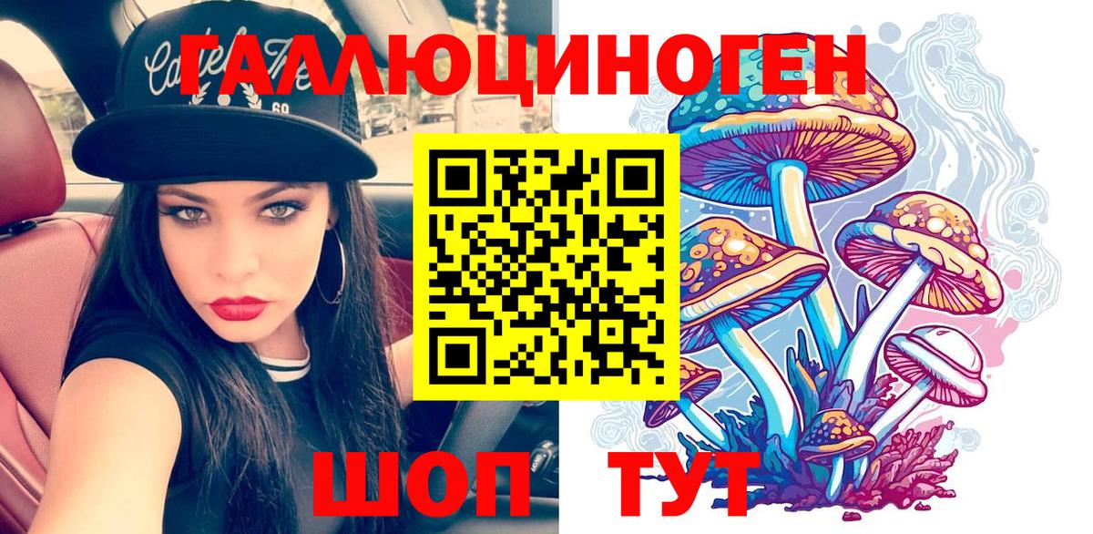 Шатура  Галлюциногенные грибы MAGIC MUSHROOMS  Вход с VPN 